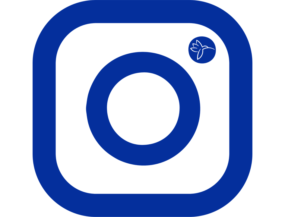 Icono Instagram-1